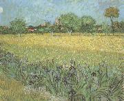 Vincent Van Gogh View of Arles with Irises in the Foreground (nn04) painting